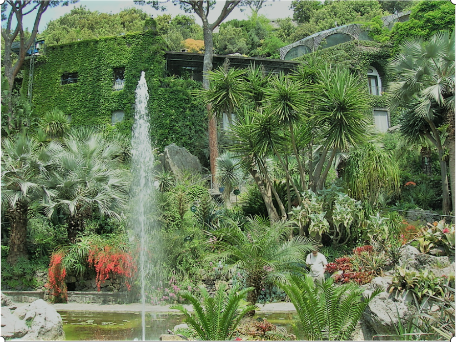 Botanische Gärten Deutschland B) BILDERWEBSEITE BOTANIK
