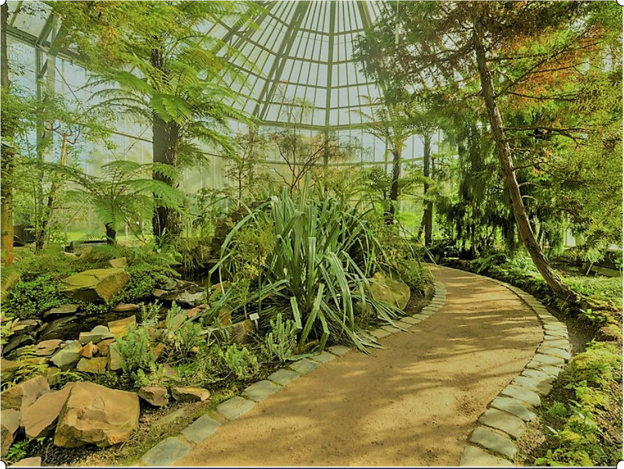 Botanische Gärten Deutschland B) BILDERWEBSEITE BOTANIK